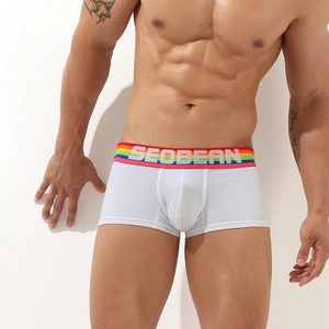 Detail of men's white boxer briefs with a rainbow elastic waistband and U-convex pouch