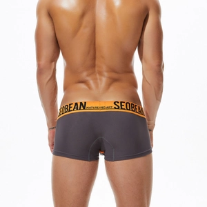 Rear view of men's mesh boxer briefs in dark grey with orange elastic logo waistband