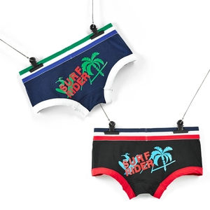 Detail of boys' cotton boxer briefs with striped waistband and Surf Rider graphic print