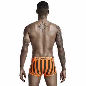Rear view of striped men's low-rise trunks featuring elastic waistband with sport logo