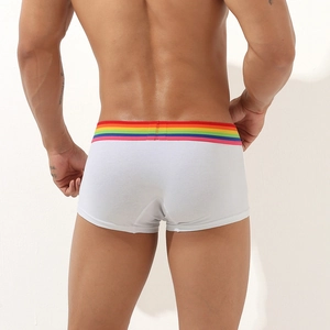 Rear view of men's white boxer briefs with a vibrant rainbow striped elastic waistband