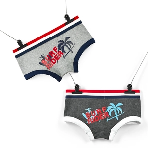 Detail of low-rise men's surf rider boxer briefs in grey with tricolor waistband