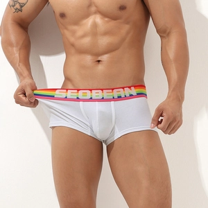Front view of white cotton boxer briefs for men with rainbow striped elastic waistband