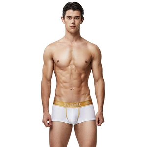 Boxer homme blanc à taille basse avec une ceinture élastique dorée brillante et sexy
