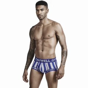 Detail shot of men's low-rise striped boxer briefs with blue elastic sport waistband