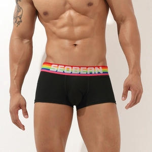 Detailed close-up of men's low rise boxer briefs featuring a vibrant rainbow waistband
