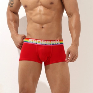 Detail of red boxer briefs with rainbow striped elastic waistband and low-waist U-pouch fit