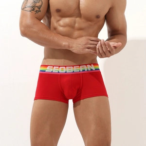 Close-up of men's red cotton boxer briefs with a rainbow waistband and U-pouch
