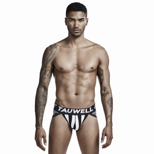 Detail of men's jockstrap featuring vertical stripes and elastic logo waistband