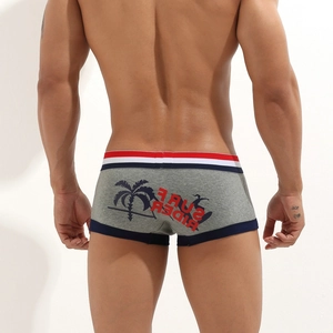 Men's sexy low-rise grey boxer briefs with surf rider print and striped waistband