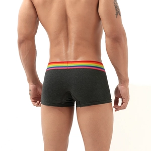 Rear view of men's low-rise boxer briefs with colorful rainbow striped elastic waistband