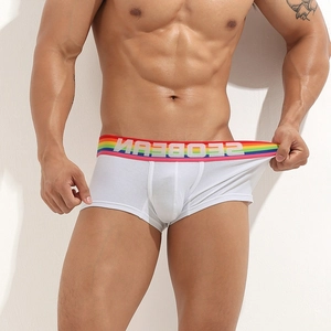 Men's white boxer briefs with rainbow striped waistband and U-convex design