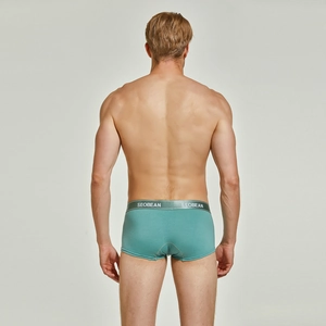 Back view of men's low-waist mint green knit boxers with grey elastic waistband detail
