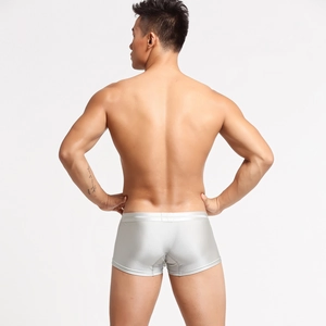 Rear view of men's low-rise nylon boxer briefs in silky silver-grey fabric