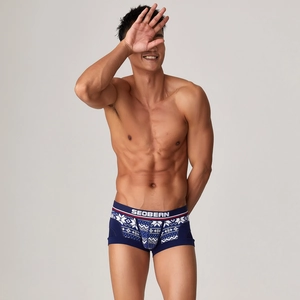 Detailed close-up of men's low-rise boxer briefs with blue and white snowflake patterns