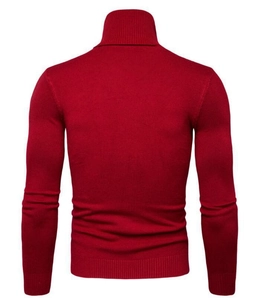 Vista posteriore del maglione a dolcevita bordeaux aderente con dettagli a costine