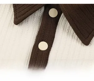 Detailed close-up of polo collar and button placket on beige and brown knit sweater