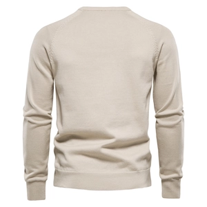 Classic beige pure cotton crewneck sweater with raglan sleeves and ribbed cuffs back view