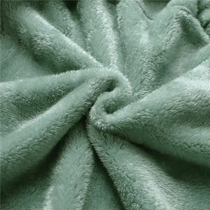 Detail of light green double-sided polar fleece fabric showing soft and plush texture