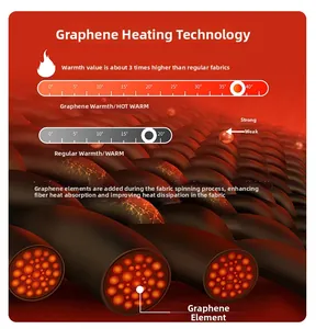 3D rendering of graphene heating fibers showing thermal absorption structure and elements