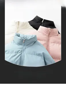 Detail view of the quilted stand-collar padded jacket showing four color options and zipper