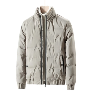 Modische Herren Daunenjacke mit Stehkragen in Graubeige mit gesteppter Struktur