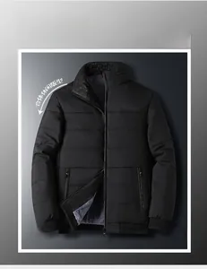 Detailed view of men's winter jacket featuring stand collar and warm velvet lining