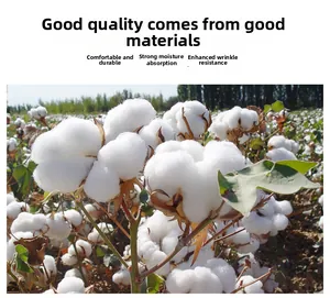 Détail du tissu en coton de qualité supérieure, durable, respirant et anti-froissement