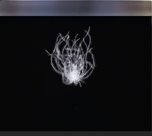 Macro di un fiocco di piumino d'anatra bianco che mostra morbidezza e volume