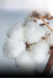 Detailed close-up of lightweight insulating cotton filling for men's hooded down vest