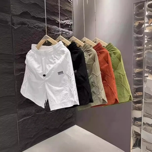 Men's Lightweight Quick Dry Sporty Casual Shorts Nylon Spandex Elastic Drawstring Waist Breathable Summer Fashion Bottoms
