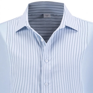 Men's business casual light blue pinstripe long sleeve dress shirt with white buttons