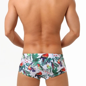 Rear view of men's square-cut swim trunks with tropical parrot and palm leaf prints