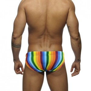 Men's sexy rainbow striped swim briefs featuring vibrant vertical multi-colored patterns
