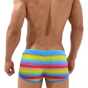Men's rainbow striped low-rise swim trunks with quick-dry fabric from the back view