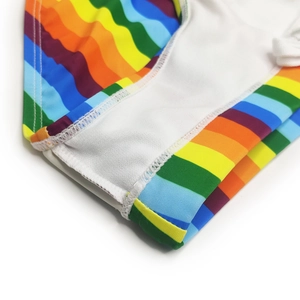 Macro detail of rainbow striped swimwear with white mesh lining and premium stitching