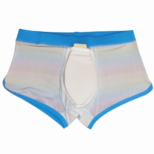 Detail view of rainbow striped men's swim trunks with front cup pocket and elastic waistband