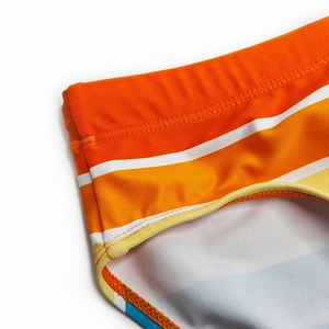 Detail of colorful striped men's swim briefs showing elastic waistband and stitching
