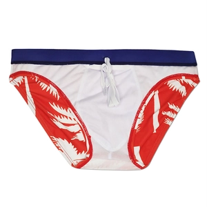 Detail of men's swim briefs with red palm leaf print, blue waistband and white drawstring