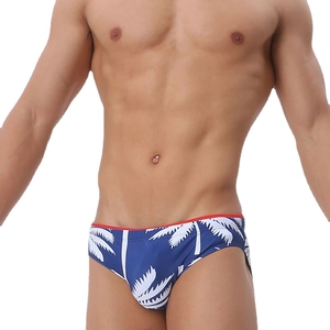 Close-up of mens palm leaf swim briefs with blue tropical print and red trim