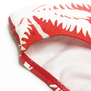 Detailed close-up of red and white zigzag pattern swim briefs with reinforced stitching