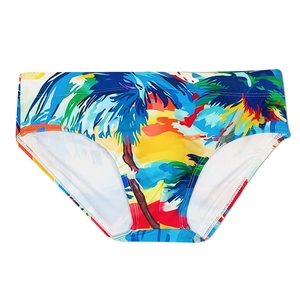 Herren-Badehose mit abstraktem Tropen-Sonnenuntergang und Palmen-Kunstdruck, schnelltrocknend
