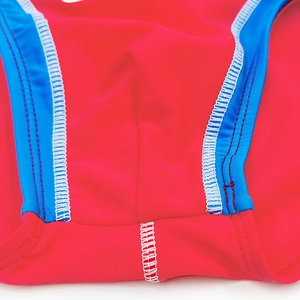 Detailed close-up of quick-dry men's swim briefs featuring red and blue color block stitching