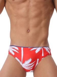 Mens red swim briefs with white palm tree print and blue trim for beach vacations