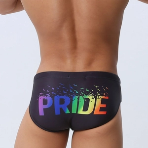 Maillot de Bain Homme Pride Imprimé Arc-en-Ciel Séchage Rapide Élastique Slips de Plage Sexy Love Is Love Sport Homme