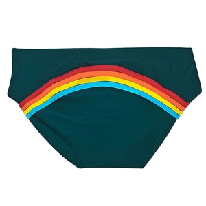 Détail du maillot de bain vert forêt pour hommes avec rayures arc-en-ciel au dos du vêtement