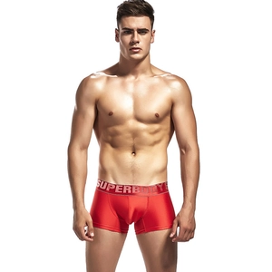 Detail of red silky nylon boxer briefs with elastic grey branded waistband