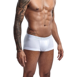 Detailed view of white cotton boxer briefs with a wide elastic branded waistband on a model