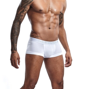 White premium cotton men's boxer briefs with elastic waistband shown on model