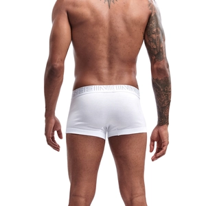 Rear view of men's white cotton boxer briefs with grey elastic waistband logo detail